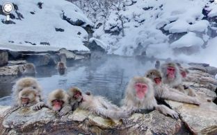 15 fotografi fantastike të kapura nga Google Street View