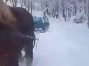 Sa kuajfuqi janë këtu [video]