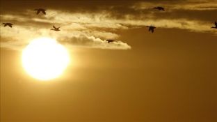 Ngrohja globale ul numrin e “ditëve ideale me diell”
