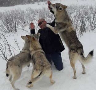 Tetovari që jeton e han me ujqit [foto]