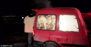 Policia gjen 72 dele në një “Pick up” [foto]