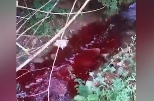  Zbulohet se çka e gjakoste përroin në Prugovc [video]
