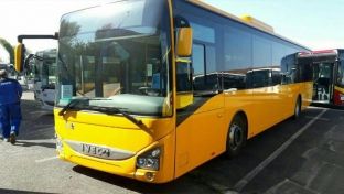  Ngjyra e autobusëve të rinj nuk është siç ishte menduar fillimisht [video]