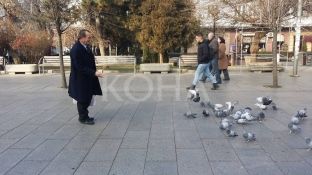 Njeriu i pëllumbave të sheshit në Prishtinë [foto]