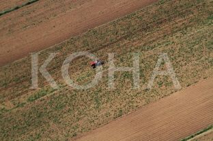 Havolli: Papërgjegjësia e Komunës së Prishtinës i la agropërpunuesit pa grante