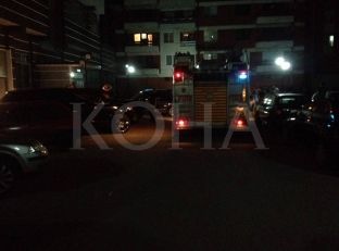 Gjarpri trondit banorët e dy lagjeve në Lipjan