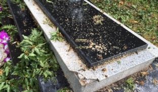 Asamblisti i Istogut thotë se kolegu i tij me një kompani dëmtuan varrezat për të marrë dru