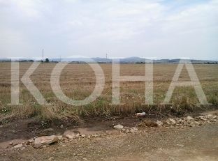 Zvarritet prej 6 vjetësh Zona industriale në Livadicë