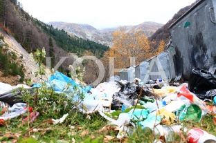 Papastërtia në Parkun Kombëtar të Sharrit po rrezikon edhe habitatet