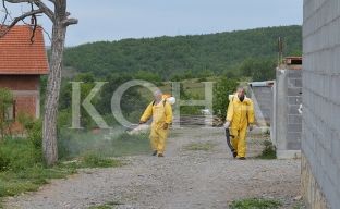 Bie numri i të prekurve nga rriqrat