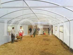Fermerët nxiten të organizohen në kooperativa bujqësore