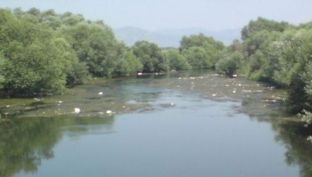 Pastrohen shtretërit e lumenjve të Fushë-Kosovës