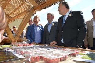 Në Podujevë u shënua “Dita e Mjedrës”
