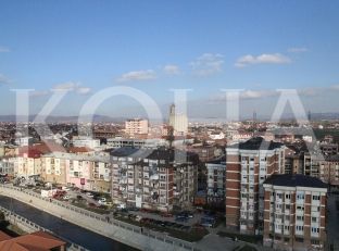 Uzurpimi i pronës mban peng vënien e obeliskut të Afrim Zhitisë