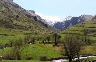 Goranët kundër hidrocentraleve në Vranishtë