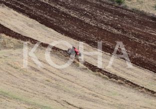 Afër 45 mijë euro dëme në bujqësi nga vërshimet e fundit