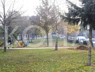 Peja humb kontestin me disa kompani ankuese
