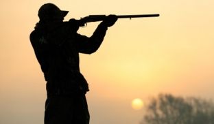 Zonën e Brodit e cenojnë gjahtarë nga Maqedonia e Shqipëria