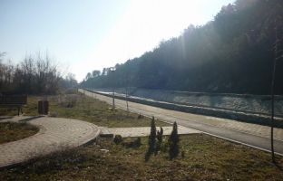 Komuna e Junikut, mbjellë fidanë përgjatë parkut të lumit Erenik