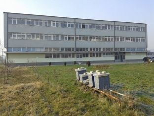 Opozita në Ferizaj pretendon shkelje ligjore në një profil të ri shkollor
