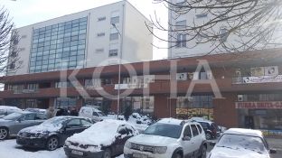 Banesat s`u jepen skamnorëve, por hidhen në ankand publik