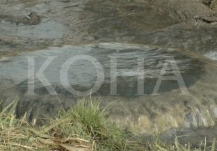 Gremja e Ferizajt, me 10 mijë banorë, pa ujë të pijes e pa kanalizim [video]