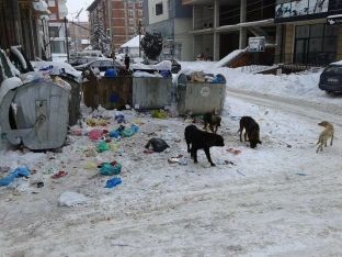 Kompania e pastrimit redukton shërbimet shkaku i mungesës së stafit