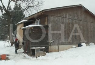  Jeta në baraka prej druri, tetë familje në kushte të vështira [video]