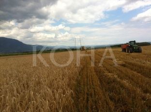 Peja 2.7 milionë euro më pak investime në bujqësi për 3 vjet