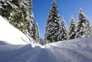 Mirëmbajtja e rrugëve të Rugovës, peng i mosshpalljes së tenderit