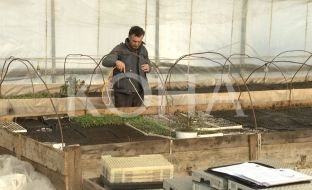  Fermerit nga Fushë Kosova nuk iu kompensua dëmi i janarit të vitit të kaluar [video]